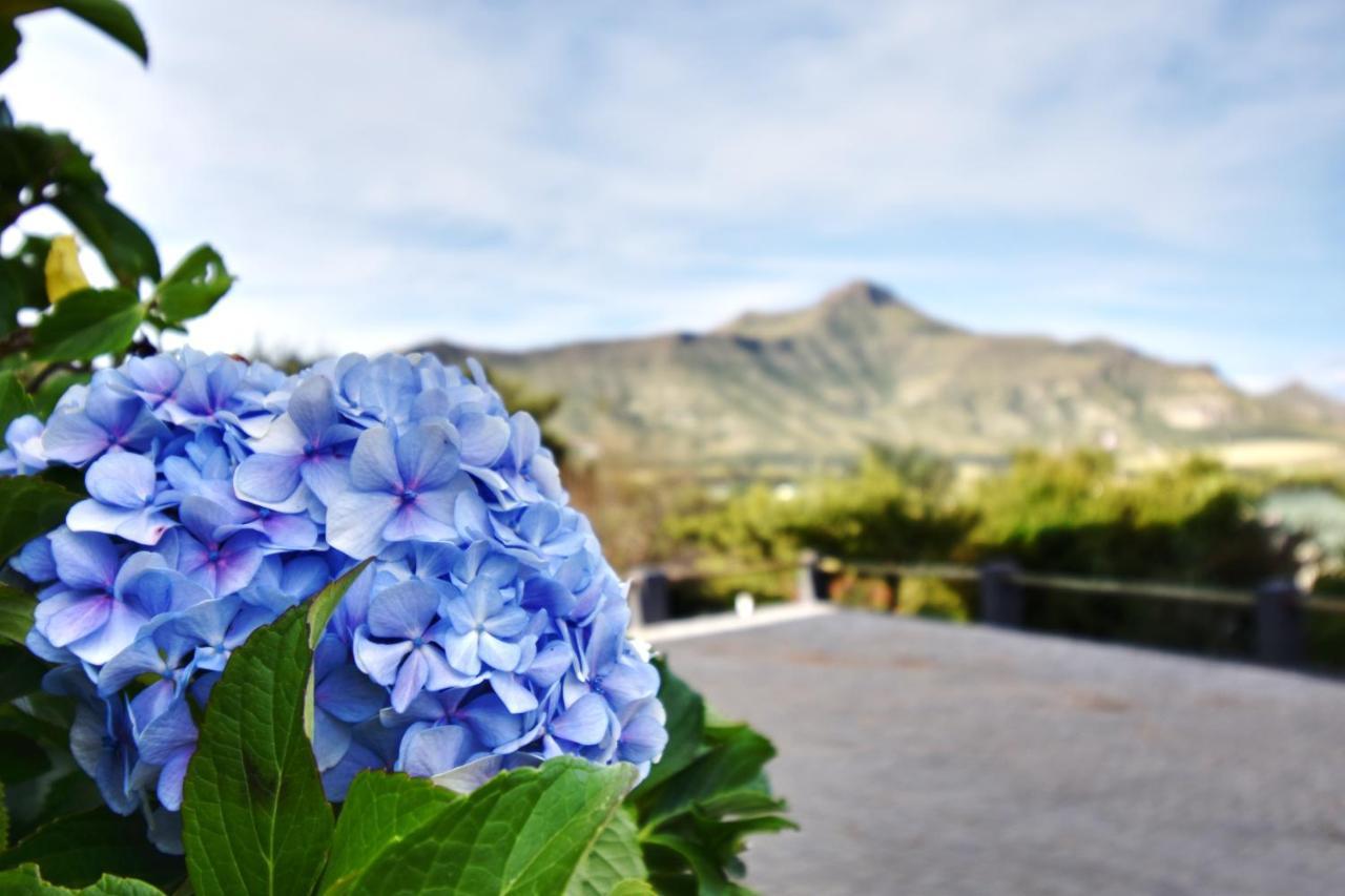 Golden View Luxury Self Catering Villa Clarens Buitenkant foto